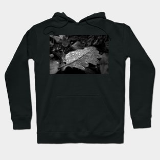 Dew Drops on Autumn Leaves Hoodie